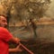18 burned bodies found in northeastern Greece after major wildfire