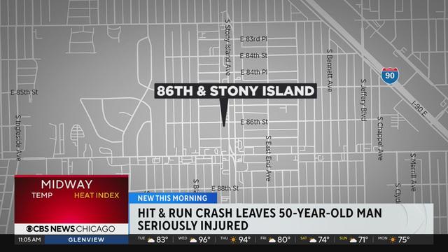 Stony Island Ave. hit-and-run.jpg 