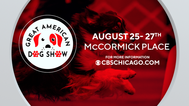 fs-promo-great-american-dog-show.png 