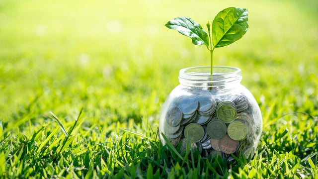 Coin tree Glass Jar Plant growing from coins outside the glass jar on blurred green natural background money saving and investment financial concept 