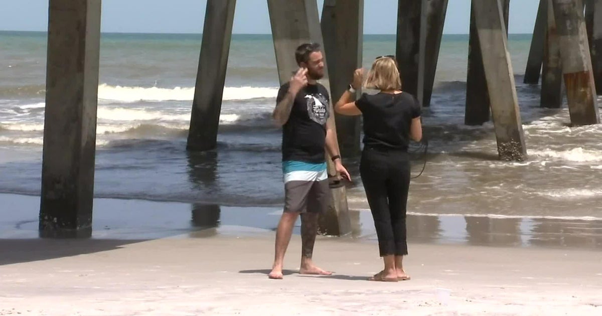 Fl: Infant dolphin considered to be useless after gentleman picks it up for photo