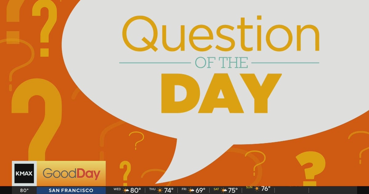 Question of the Day - What sandwich are you in the mood for? - Good Day ...