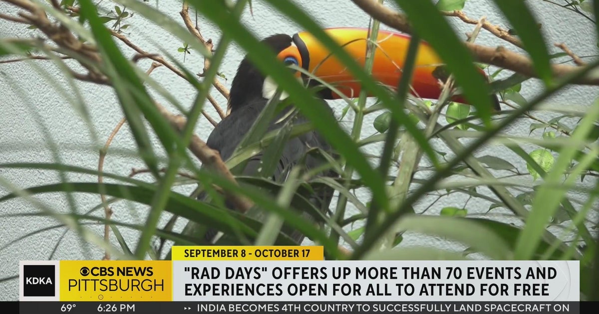 RAD Days offering up more than 70 free events and experiences CBS