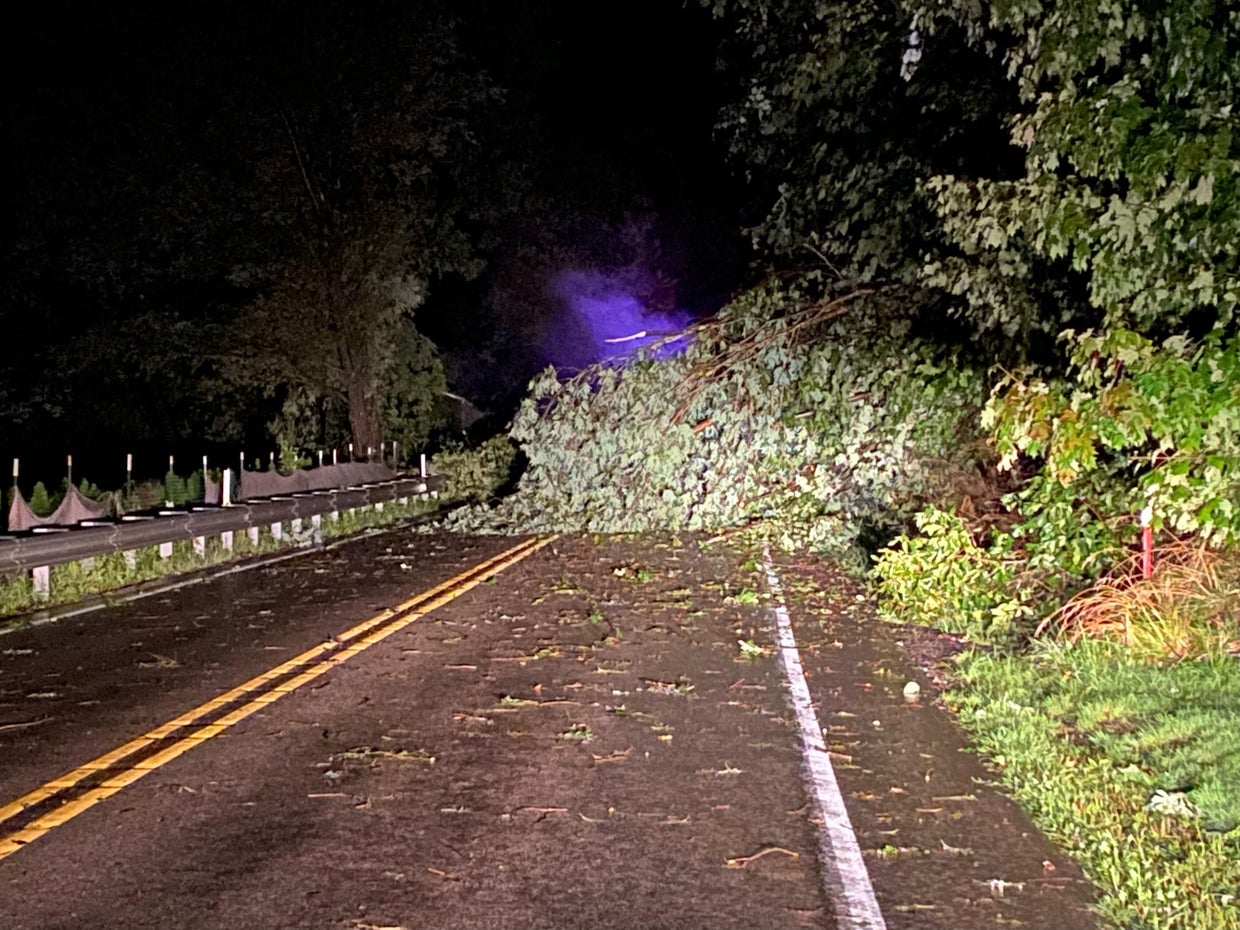 Good Samaritan helps clear fallen trees on Rt. 381 in Fayette County ...