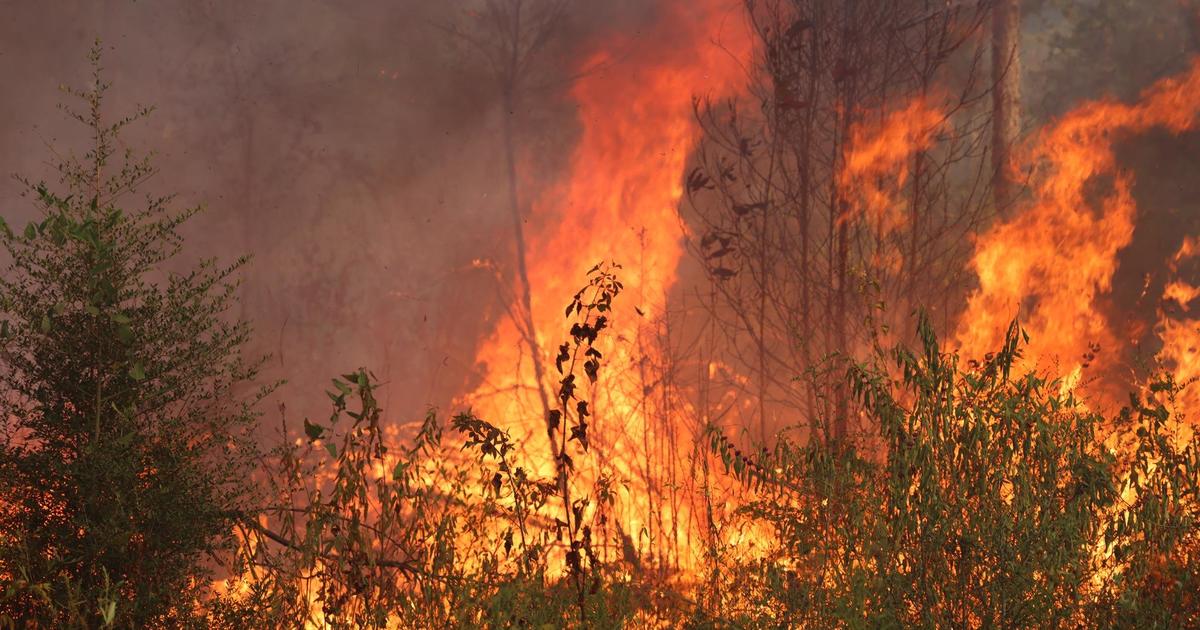 Dozens of wildfires burn in Louisiana amid scorching heat: “This is unprecedented”