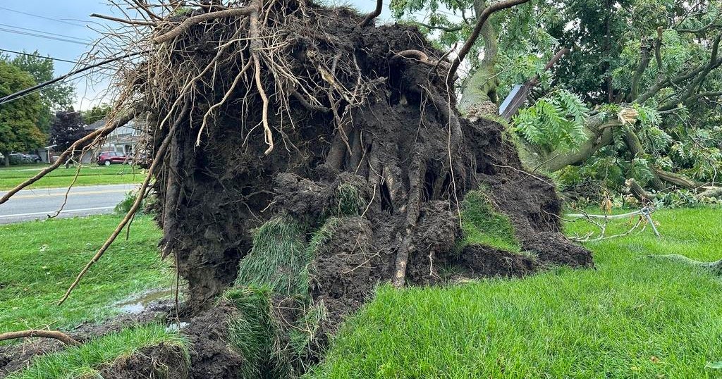 5 tornados confirmed as Michigan storms down trees and power lines; 5 people killed - Vimarsana News
