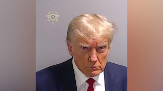 Donald Trump mug shot 