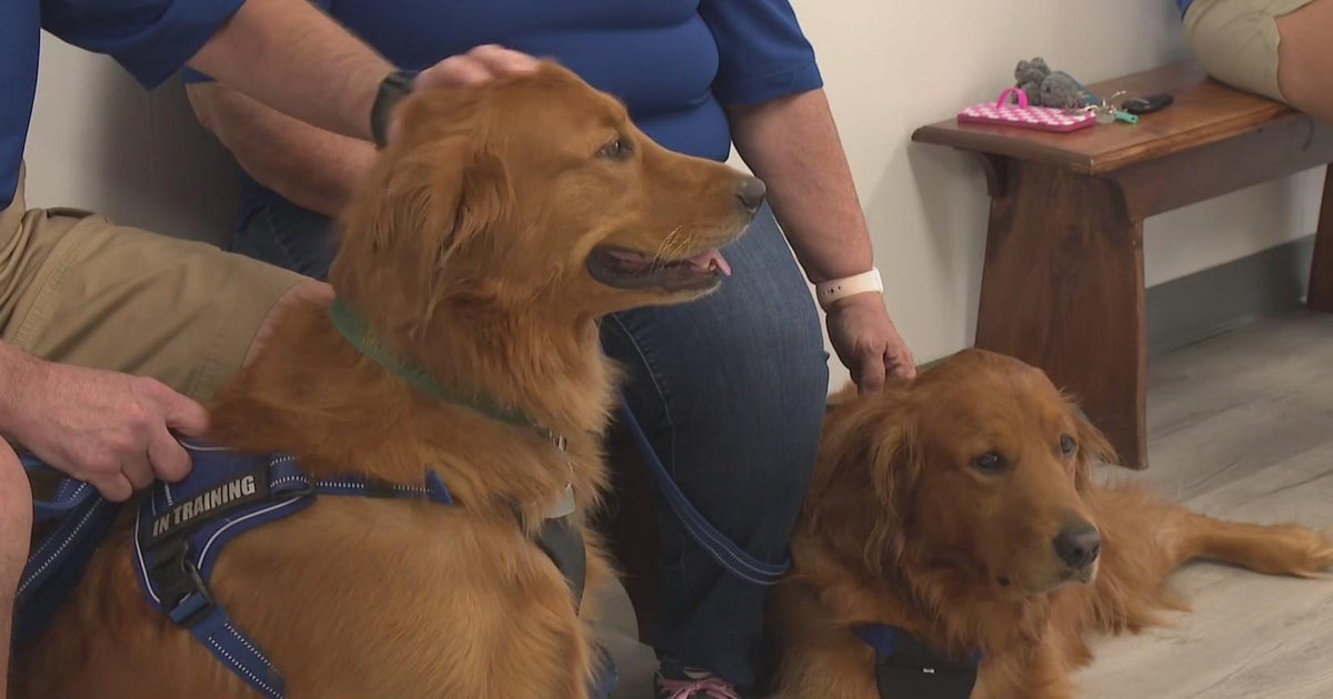 KD Sunday Spotlight Top Dog Therapy Team brings joy and pawsitivity to those in need