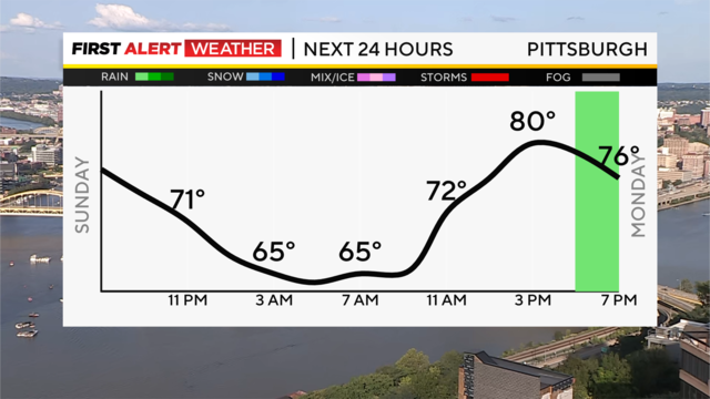 next-24-hours-temp-line-weather-bars-camera-1.png 