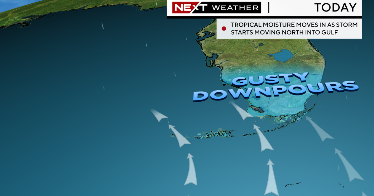 NEXT Weather: Idalia to bring gusty rain to South Florida