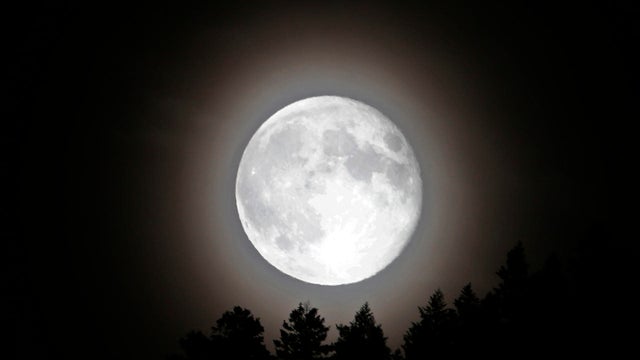 Supermoon Appears Big And Bright In Night Sky 