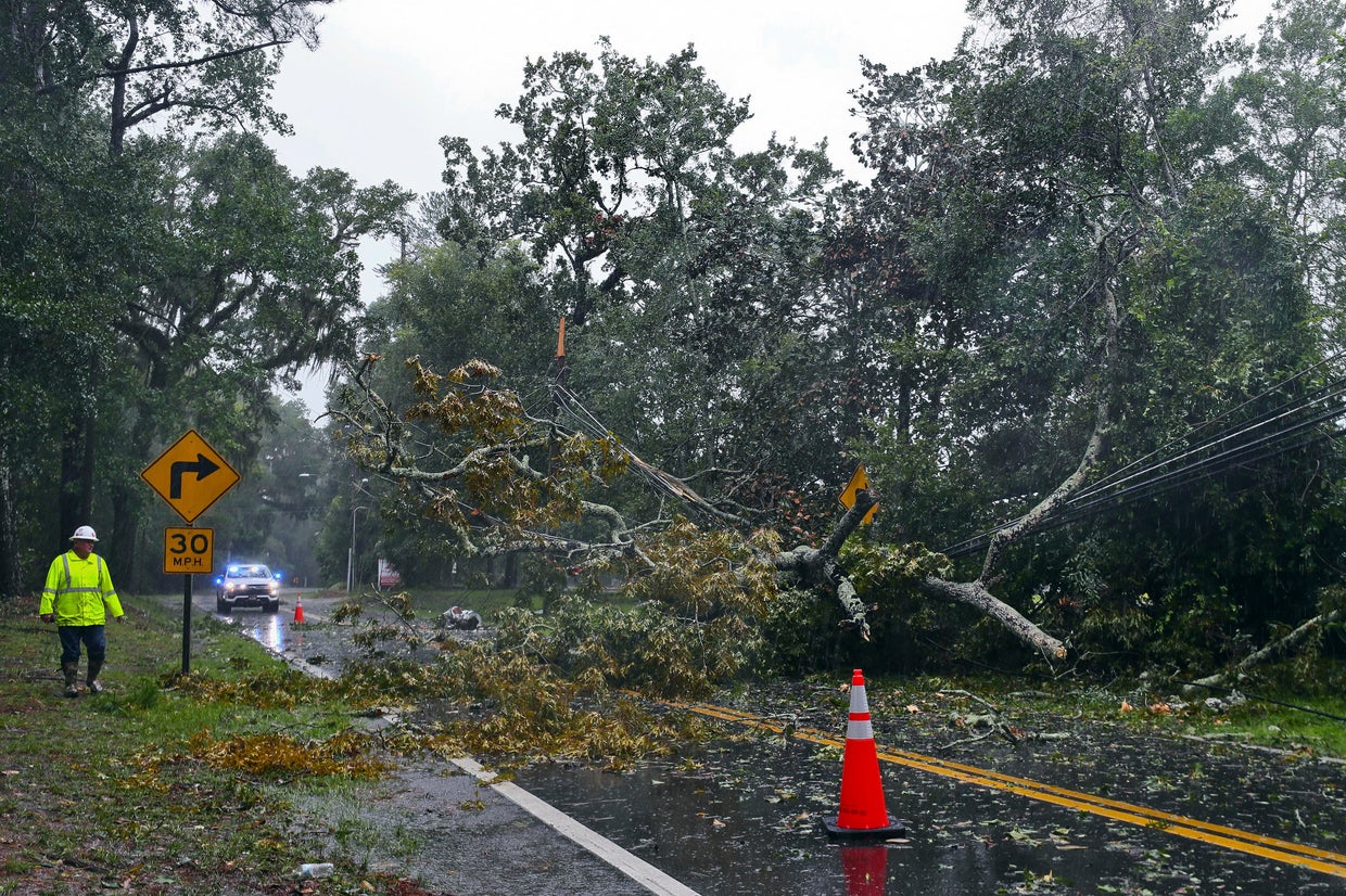 A 100-year-old oak tree falls on the Florida governor's mansion, Casey ...