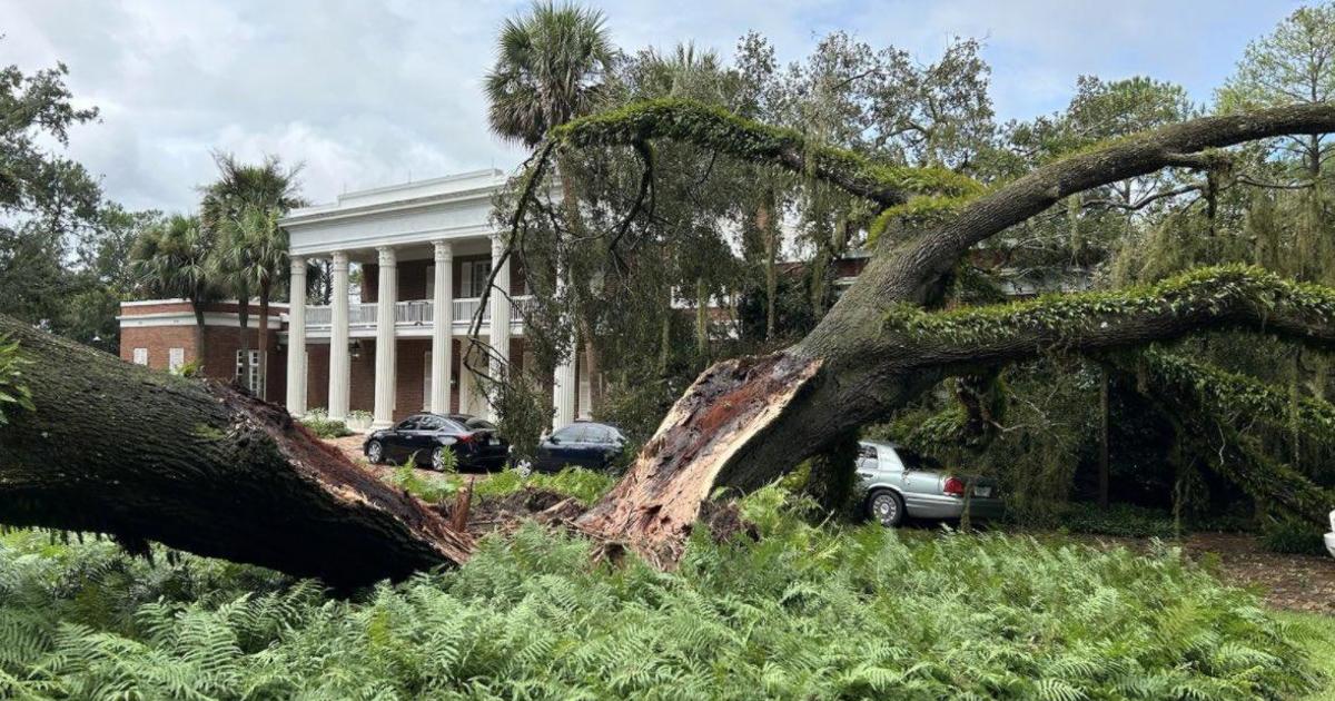 100-годишен дъб падна върху имението на губернатора на Флорида, казва Кейси ДеСантис