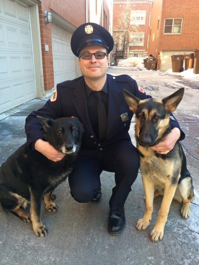 fallen-firefighter-with-dogs.jpg