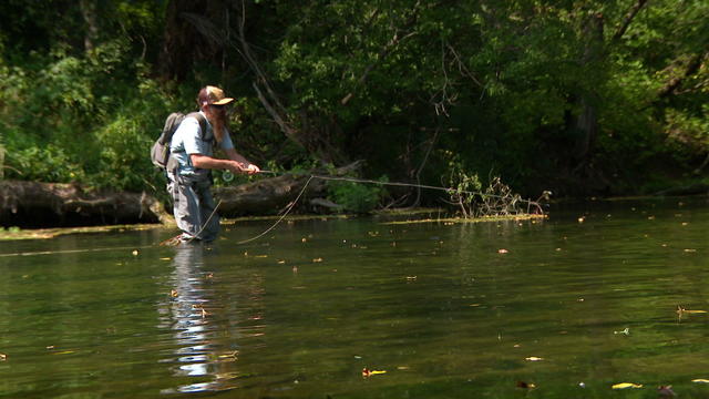 Fillmore County, offering fly fishing year 'round in Minnesota, is a  nationwide destination for anglers - CBS Minnesota