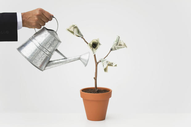 Businessman watering potted money tree, cropped 