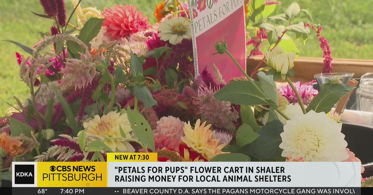 Petals for Pups cart in Shaler brightens people's days with flowers while raising money for
