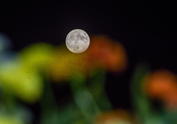 Rare Super Blue Moon Brightens August Night Sky 