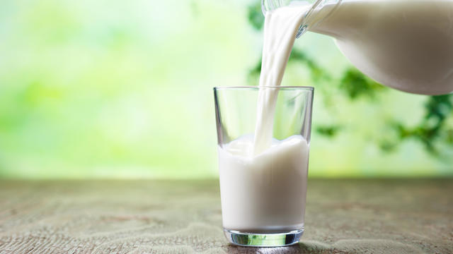 Pouring milk in the glass on the background of nature. 