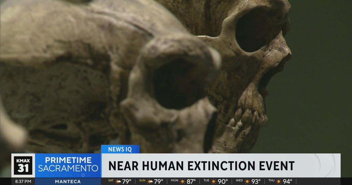 Primetime Sacramento: News IQ