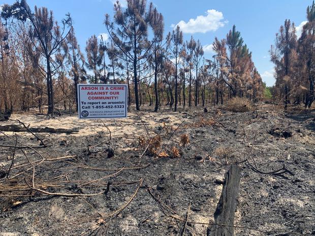 Louisiana's Tiger Island wildfire ruled arson, officials say 