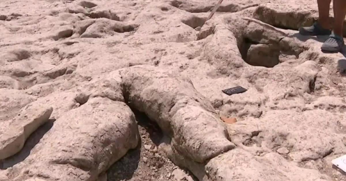 Dried up creek reveals dino tracks of three-toed creature
