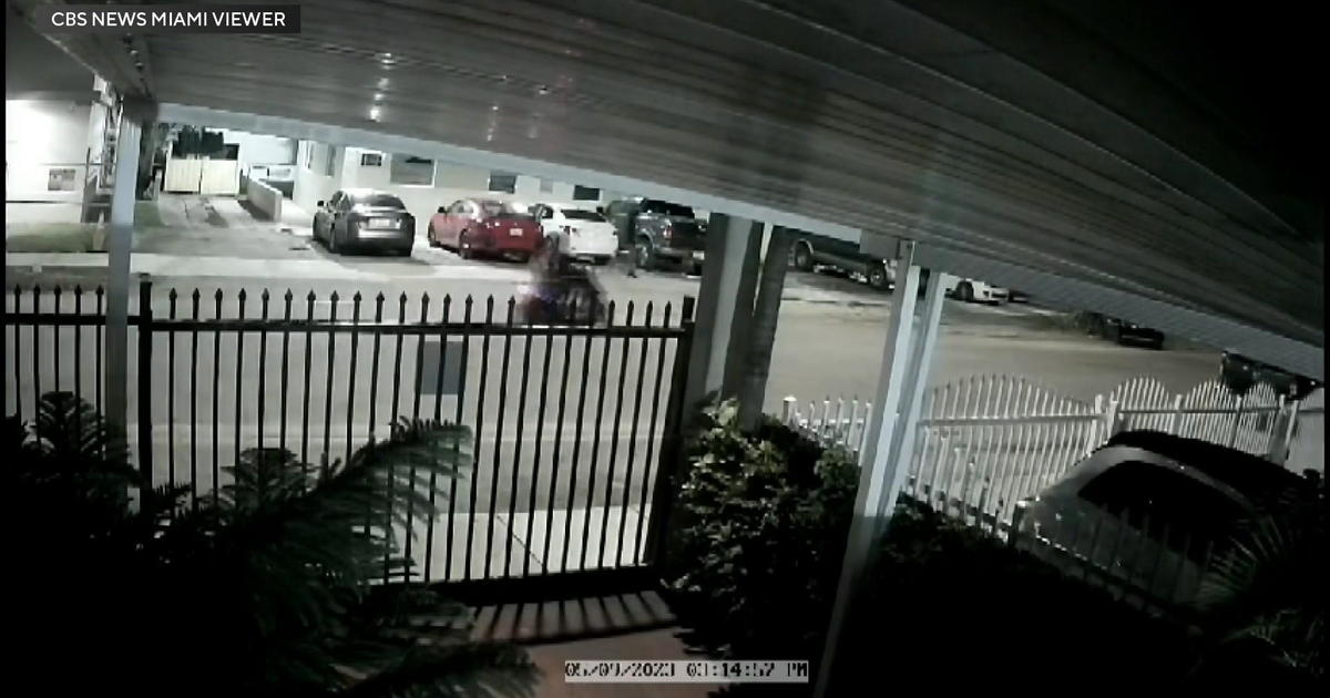 Surveillance video clip displays teenagers burglarizing automobiles in Miami