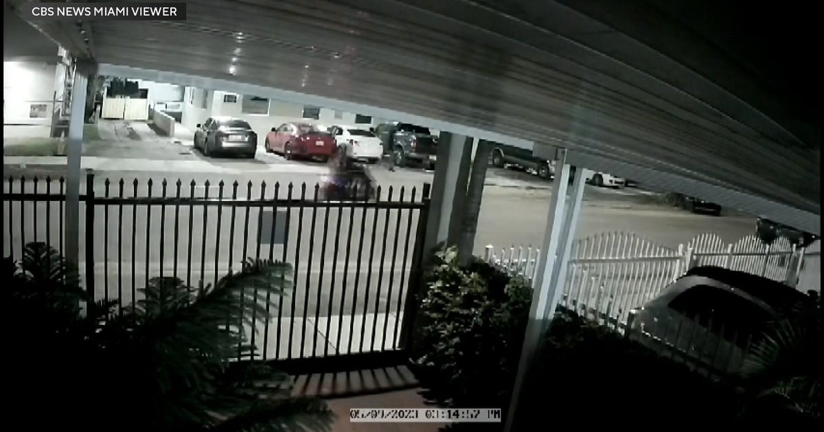 Surveillance video clip displays teenagers burglarizing automobiles in Miami Surveillance video clip displays teenagers burglarizing automobiles in Miami