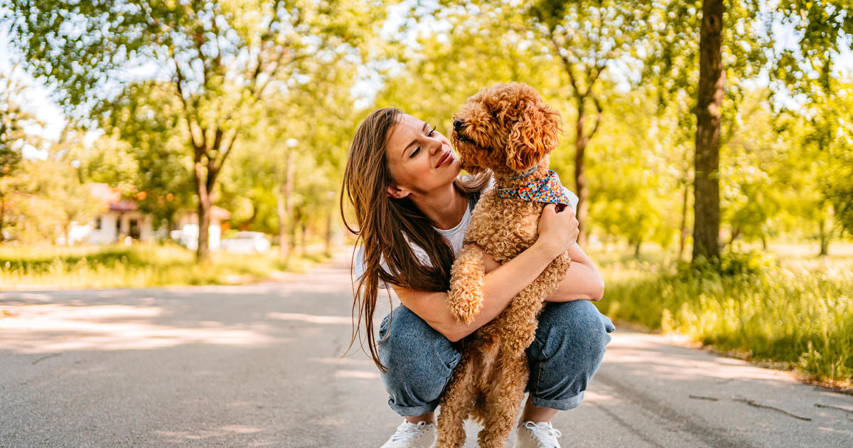 Съвети за застраховка за домашни любимци, които собствениците на кучета трябва да знаят