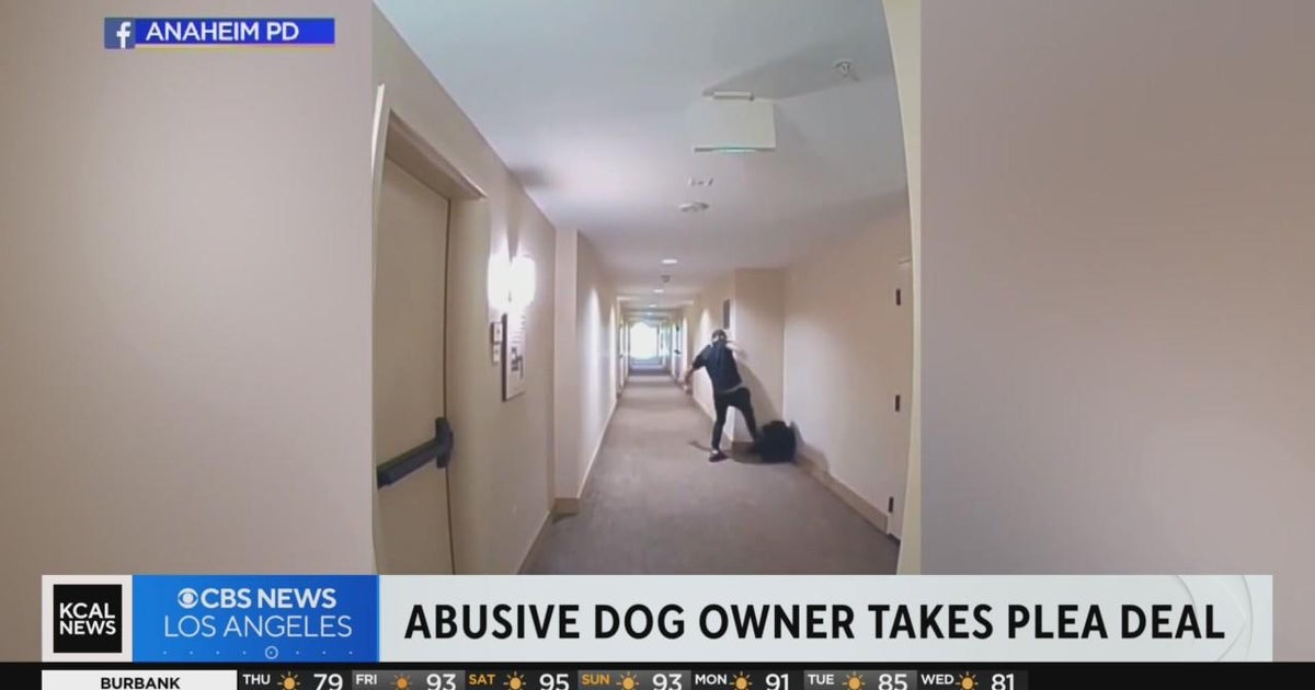 The short answer: dogs do not “approve” of abuse