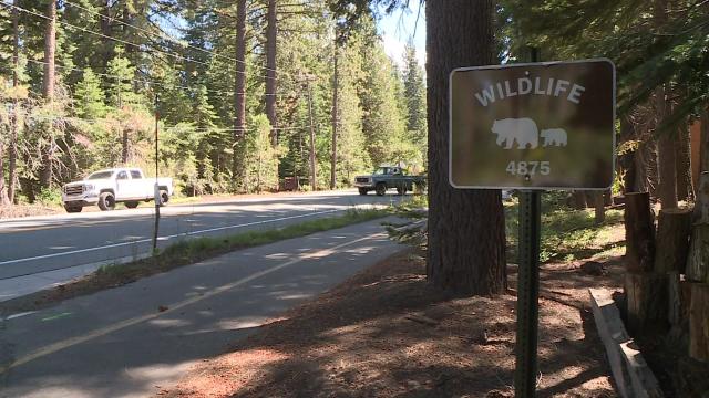 bears-tahoe-accidents.jpg 