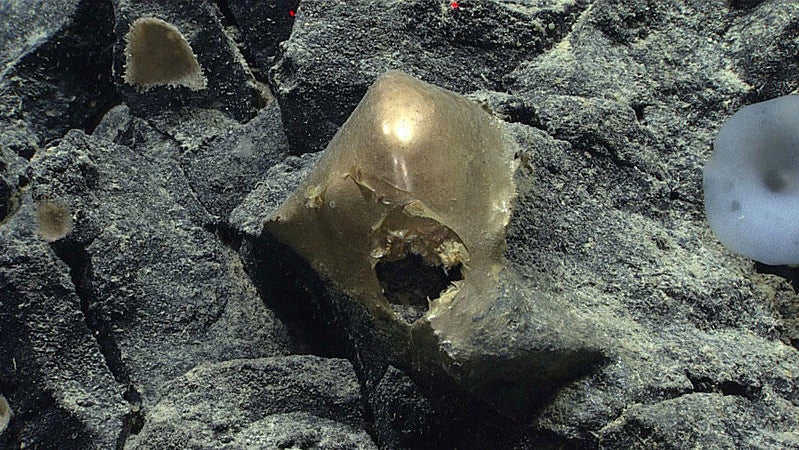 orb-800.jpg 