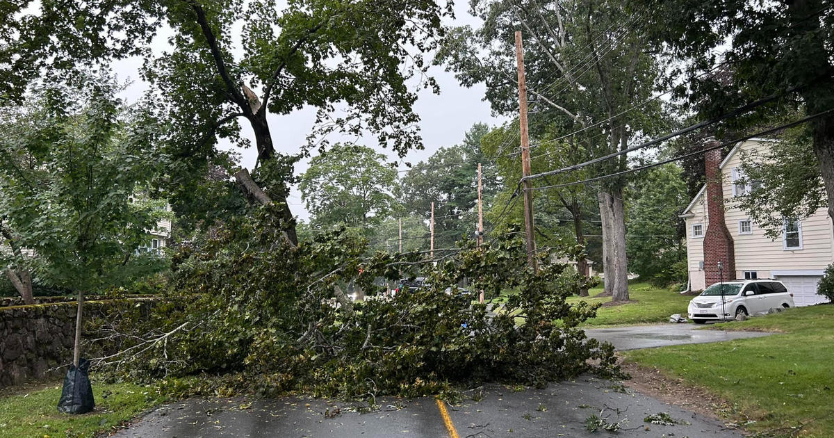 Severe thunderstorms leave damage across Massachusetts