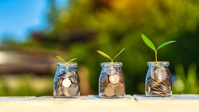 Savings and investment concept. Young plant growing in the glass jars that have money. Coins and plants are grown on a pile of coins for finance and banking. 