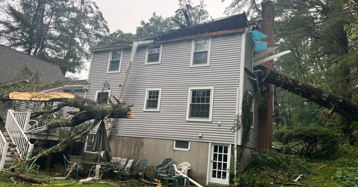 Severe thunderstorms leave damage across Massachusetts - Vimarsana News