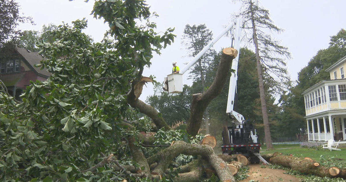 Schools closed in Andover North Andover Monday as storm cleanup