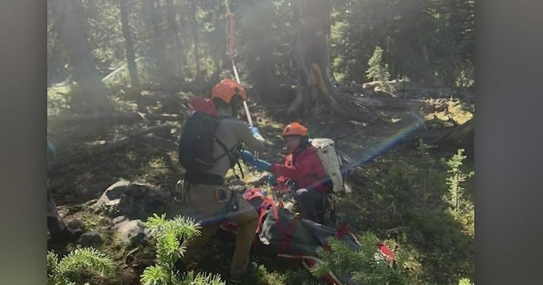 Hunter severely mauled by grizzly bear in Montana park CBS Sacramento(01)