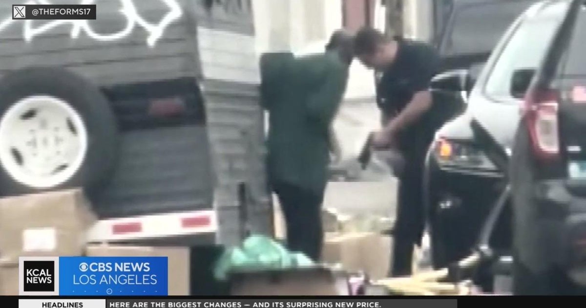 LAPD officer shoots two dogs while responding to call in downtown LA ...