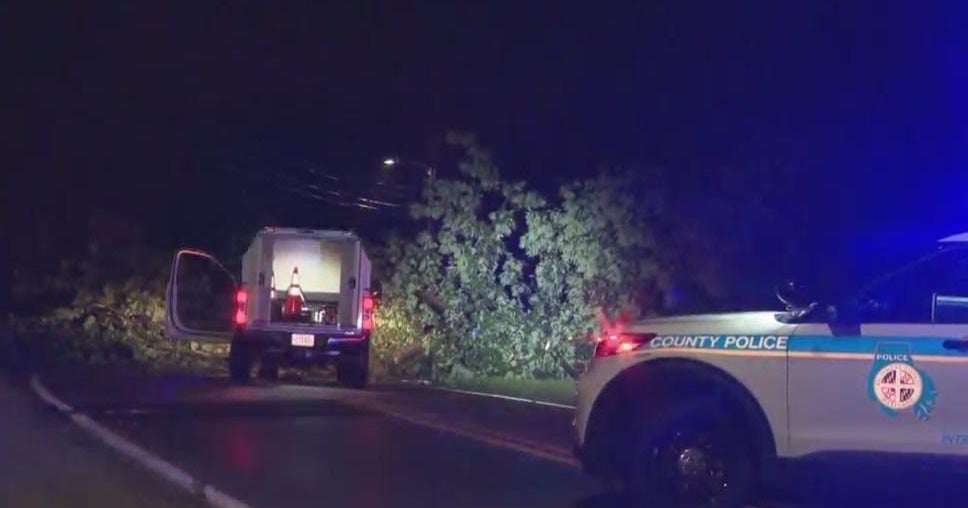 Overnight storms down trees, flood roads and knock power across ...