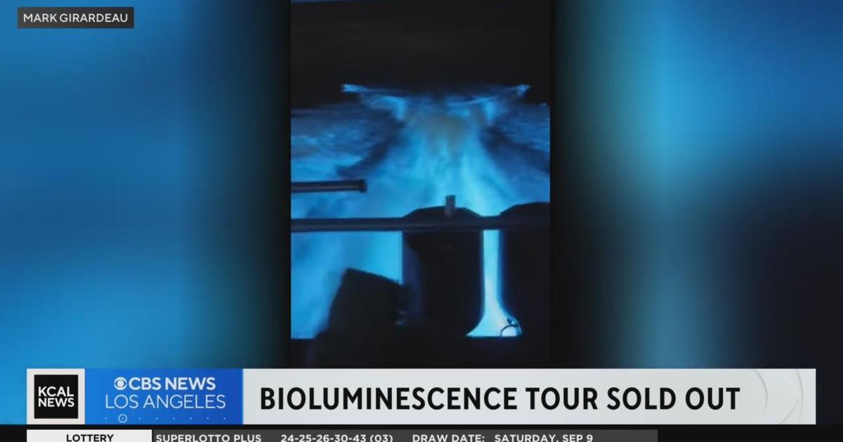 Families flock to Orange County to catch bioluminescence CBS Los Angeles