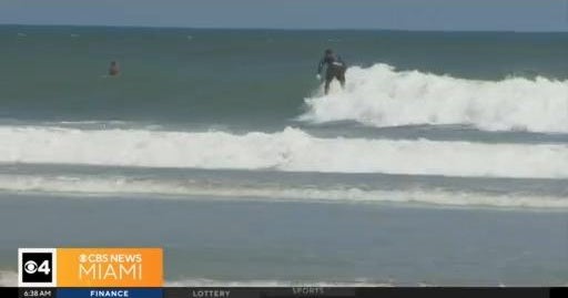 Florida person taken to healthcare facility after bitten in the experience by a shark Florida person taken to healthcare facility after bitten in the experience by a shark