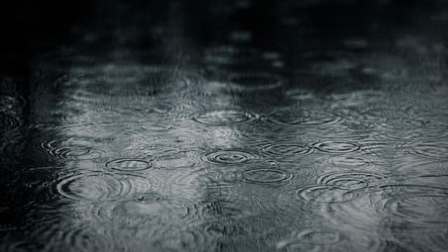 Ripples of raindrops in puddle 