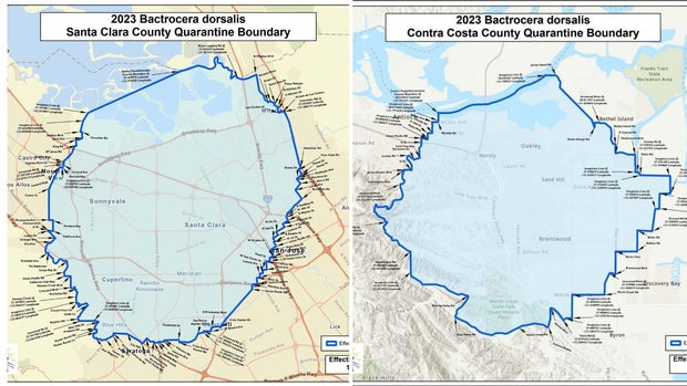Fruit fly quarantine map