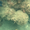 Researchers unearth buried secrets of 1810 shipwreck that killed hundreds