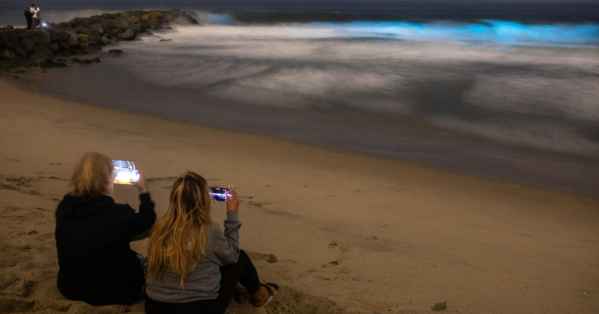 Биолуминесцентни вълни осветяват крайбрежните води на Южна Калифорния
