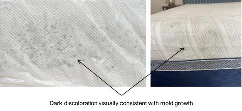 Costco mattresses recalled after hundreds of consumers reported mold