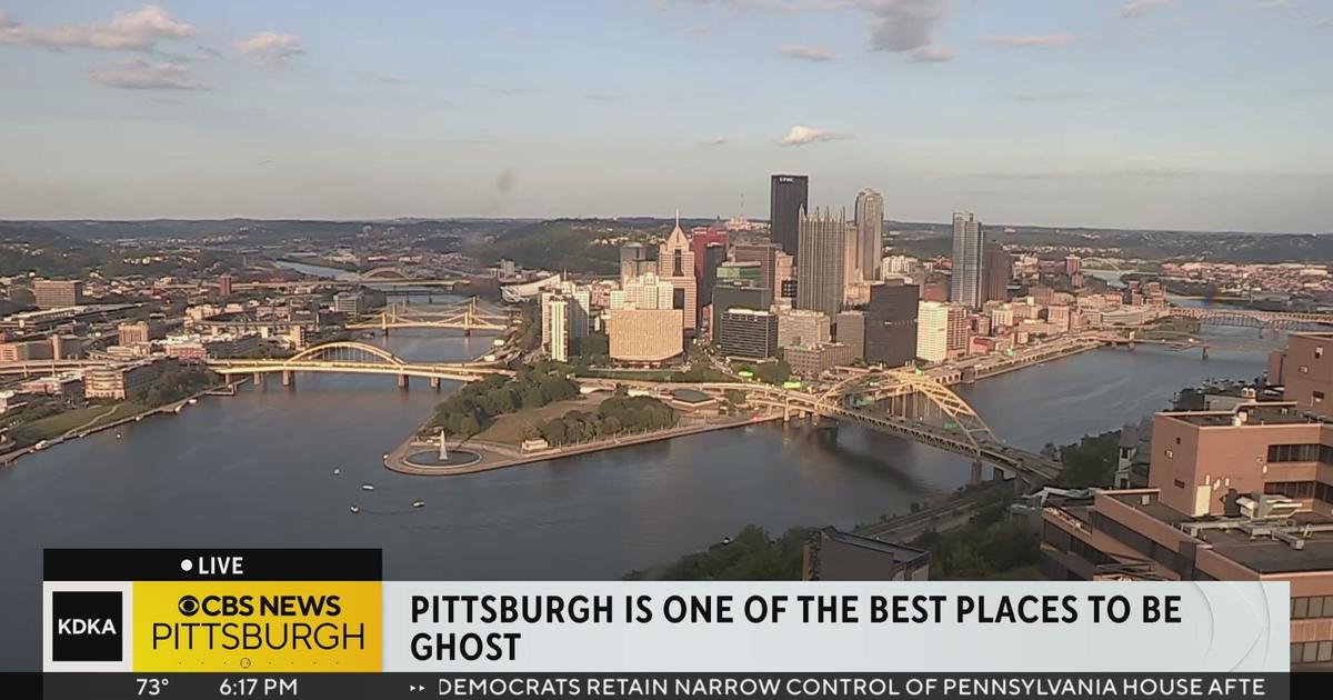 Does It Really Do That? The Negg - CBS Pittsburgh