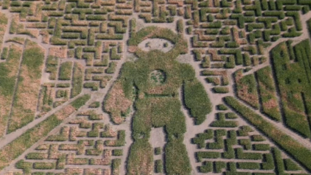 robot-corn-maze 