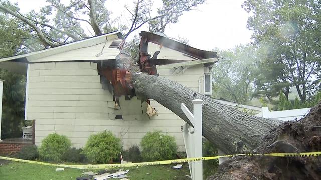 A large tree crashed onto a home, breaking through the roof and the side wall. 