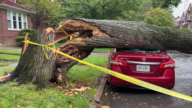 A large tree broken at the trunk lays across the roof of a red Nissan behind crime scene tape. 